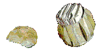 Une boule de Moulins, à ailette Une boule de Moulins, à ailette